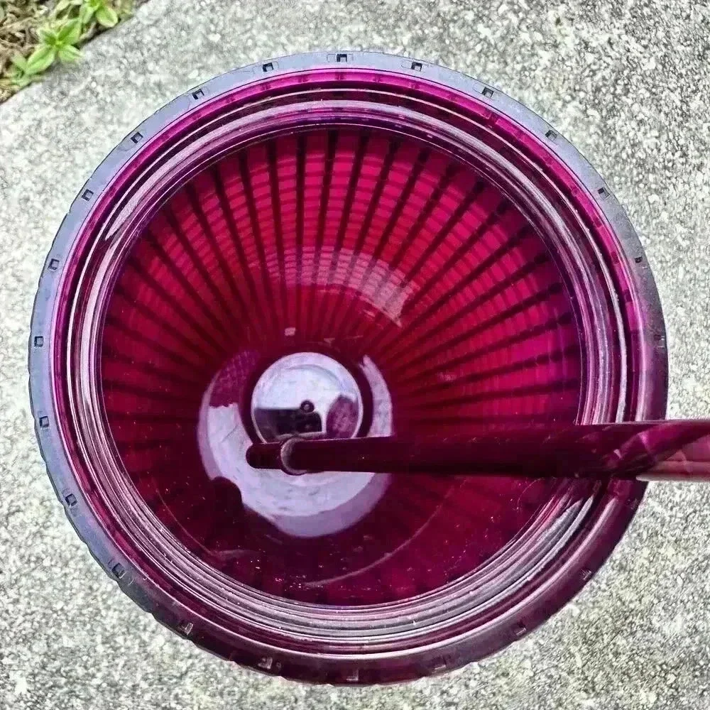 Starbucks Studded Plum Purple Grid Disco Holiday 2020 Cold Cup Tumbler (24oz)